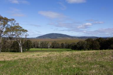 Farm For Sale - NSW - Berry - 2535 - Feel the Serenity!  (Image 2)