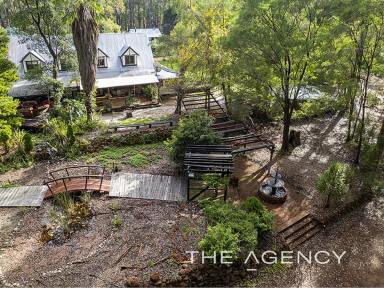 Farm For Sale - WA - Beedelup - 6260 - Enchanted Secluded Lifestyle Business in Towering Karri Trees in the Southwest  (Image 2)