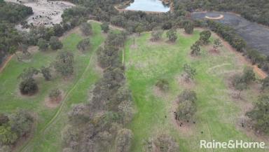 Farm For Sale - WA - Boyup Brook - 6244 - Rural Land with Income & Opportunity  (Image 2)