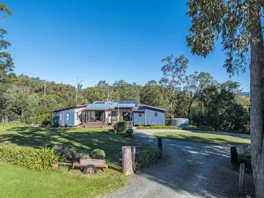 Farm For Sale - QLD - Mount Pleasant - 4521 - Ideal country living  (Image 2)