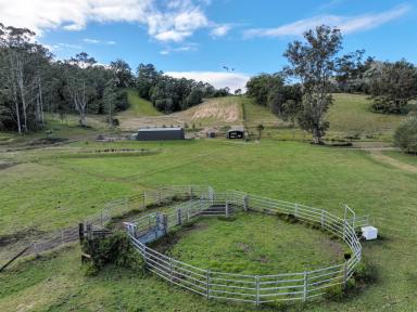Farm For Sale - NSW - Killabakh - 2429 - Stillmore Farm  (Image 2)