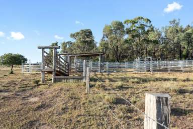 Farm For Sale - QLD - Millmerran - 4357 - "Silverdale"  (Image 2)