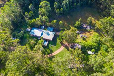 Farm For Sale - NSW - Cooperabung - 2441 - A UNIQUE PARCEL OF LAND ON THE MID NORTH COAST  (Image 2)