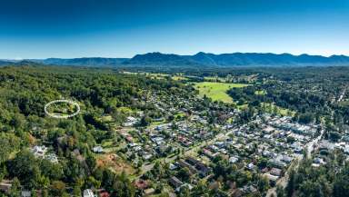 Farm Sold - NSW - Bellingen - 2454 - Centrally located with a modern and functional design. The ultimate private paradise!  (Image 2)