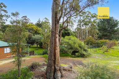 Farm For Sale - WA - Nannup - 6275 - Cottage on 5.6 Acres in Nannup  (Image 2)