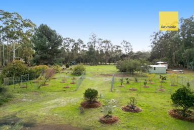 Farm For Sale - WA - Nannup - 6275 - Cottage on 5.6 Acres in Nannup  (Image 2)