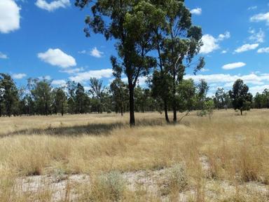 47 Montrose Road,, Kogan QLD 4406