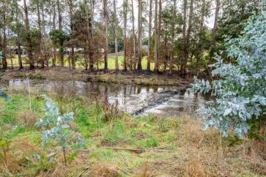 Farm For Sale - TAS - Geeveston - 7116 - Great opportunity with river frontage  (Image 2)