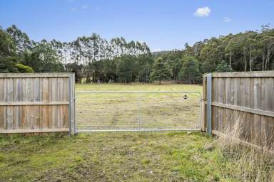 Farm For Sale - TAS - Geeveston - 7116 - Opportunity to Make a Lasting Impact  (Image 2)