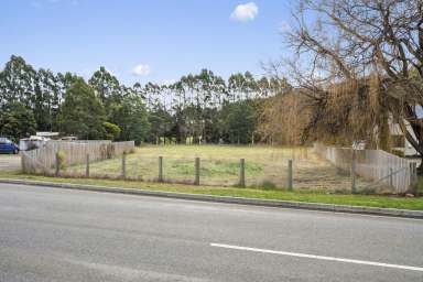 Farm For Sale - TAS - Geeveston - 7116 - Opportunity to Make a Lasting Impact  (Image 2)