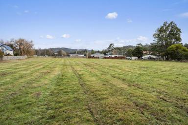 Farm For Sale - TAS - Geeveston - 7116 - Great opportunity with river frontage  (Image 2)