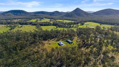 Farm For Sale - NSW - The Branch - 2425 - A Very Convenient Tree Change With Luxury Included!  (Image 2)