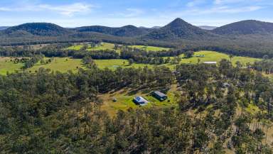 Farm For Sale - NSW - The Branch - 2425 - A Very Convenient Tree Change With Luxury Included!  (Image 2)