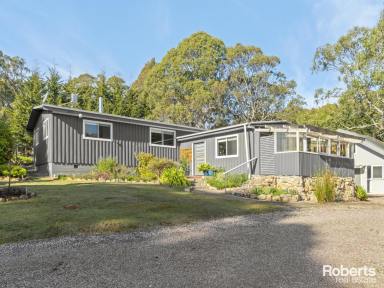 Farm For Sale - TAS - Railton - 7305 - Infinite Possibilities: 6.5 acres, 3 residences, enormous shed & total privacy  (Image 2)