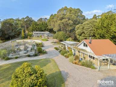 Farm For Sale - TAS - Railton - 7305 - Infinite Possibilities: 6.5 acres, 3 residences, enormous shed & total privacy  (Image 2)