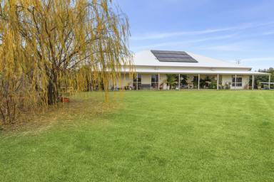 Farm For Sale - SA - Renmark - 5341 - Luxurious Lifestyle Property with Sustainable Features  (Image 2)