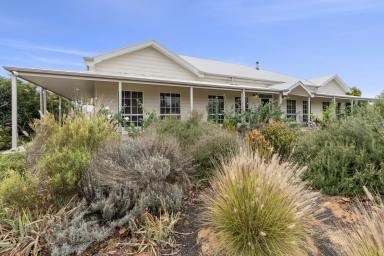 Farm For Sale - SA - Renmark - 5341 - Luxurious Lifestyle Property with Sustainable Features  (Image 2)