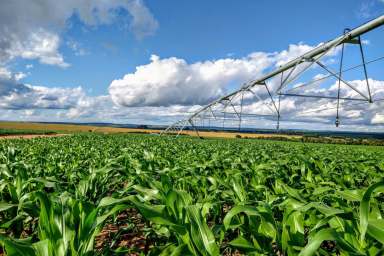 Farm Sold - NSW - Billimari - 2804 - 145AC CENTRE PIVOT + HIGH FLOW BORE IRRIGATION!  (Image 2)