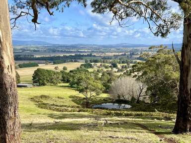 Farm For Sale - VIC - Goldie - 3435 - "Eagles' Crest", Red Gap Road , Fagans Lane, Goldie - 48.42 hectares (119.6 acres) Vacant land  (Image 2)