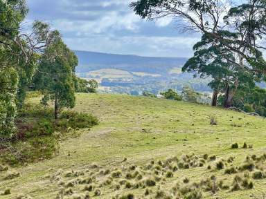 Farm For Sale - VIC - Goldie - 3435 - "Eagles' Crest", Red Gap Road , Fagans Lane, Goldie - 48.42 hectares (119.6 acres) Vacant land  (Image 2)