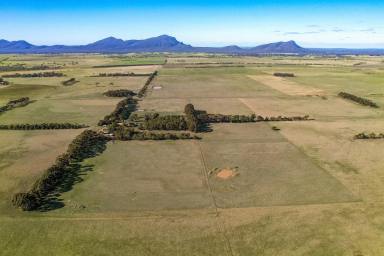 Farm For Sale - VIC - Dunkeld - 3294 - GRAMPIANS VISTAS, PRIVACY AND TRANQUILITY  (Image 2)