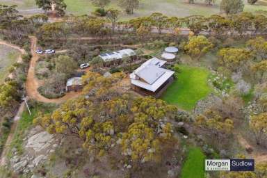 Farm Sold - WA - York - 6302 - Tranquil Grandeur: A Masterpiece of Craftsmanship in the Talbot Brook area of York  (Image 2)