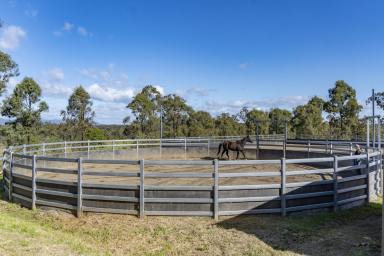 Farm Auction - NSW - Lower Belford - 2335 -  "CALLI COTTAGE" | EQUESTRIAN DELIGHT  (Image 2)