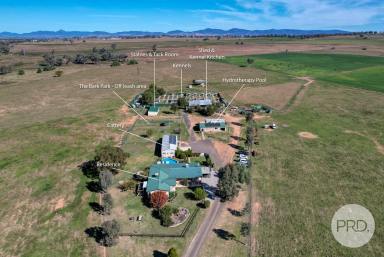 Farm For Sale - NSW - Tamworth - 2340 - Buy it today and start making money tomorrow!  (Image 2)