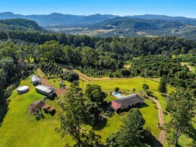 Farm For Sale - NSW - Jiggi - 2480 - When it's All About the Views  (Image 2)