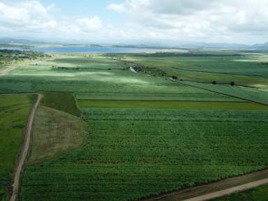 Farm For Sale - QLD - Marian - 4753 - Marian Cane Farms  (Image 2)