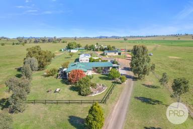 Farm For Sale - NSW - Tamworth - 2340 - Buy it today and start making money tomorrow!  (Image 2)