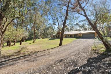 Farm For Sale - WA - Carabooda - 6033 - Live Your Ultimate Country Lifestyle  (Image 2)