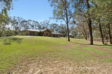 Farm For Sale - WA - Carabooda - 6033 - They’re just not making land anymore …  (Image 2)
