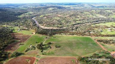 Farm For Sale - WA - West Toodyay - 6566 - Prime Farming property in Toodyay awaits!  (Image 2)