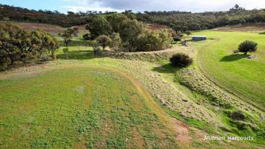 Farm For Sale - WA - West Toodyay - 6566 - Prime Farming property in Toodyay awaits!  (Image 2)