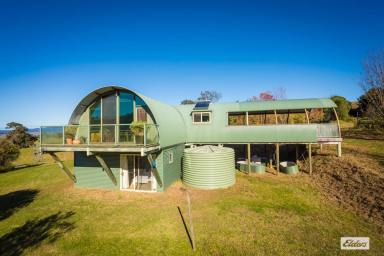 Farm For Sale - NSW - Buckajo - 2550 - Discover "Smiling Valley" - Your Tranquil Retreat!  (Image 2)