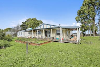 Farm For Sale - VIC - Allambee Reserve - 3871 - RURAL LIFESTYLE  (Image 2)