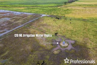 Farm For Sale - VIC - Gelliondale - 3971 - Farm Property Just MINUTES From Yarram (South Gippsland) - 174 PRIME Acreage With 120 Mega-litres IRRIGATION WATER RIGHTS.

PRICE ADJUSTED - MUST SEE  (Image 2)