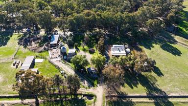 Farm For Sale - VIC - Numurkah - 3636 - MIXED USE FARM WITH CREEK FRONTAGE  (Image 2)