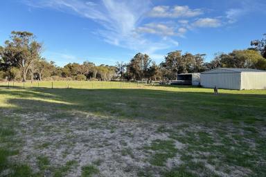 Farm For Sale - WA - Tambellup - 6320 - Room for the Home and Horses  (Image 2)