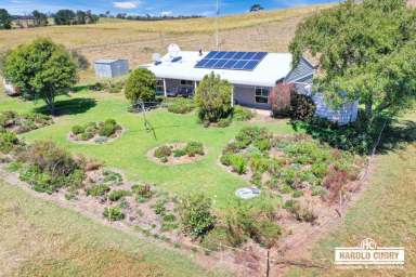 Farm For Sale - NSW - Tenterfield - 2372 - 'Bella-Vista' - Home Block.....  (Image 2)