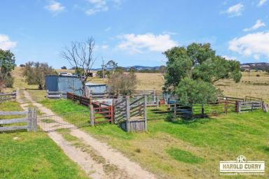 Farm Auction - NSW - Tenterfield - 2372 - 'Bella-Vista' - Yard Block.....  (Image 2)