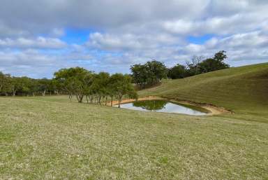 Farm Sold - SA - Prospect Hill - 5201 - Adelaide Hills Oasis  (Image 2)