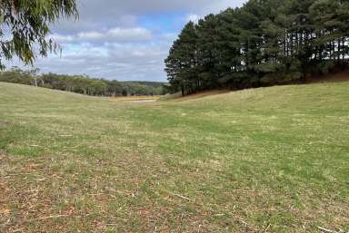 Farm Sold - SA - Prospect Hill - 5201 - Adelaide Hills Oasis  (Image 2)