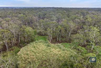 Farm Sold - VIC - Swan Marsh - 3249 - Untamed Beauty  (Image 2)