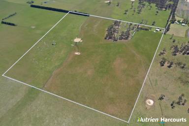 Farm For Sale - VIC - Yarram - 3971 - 103 acres with a Family Home  (Image 2)
