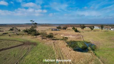 Farm For Sale - VIC - Alberton - 3971 - 138 Acre Grazing property- Open to Offers  (Image 2)