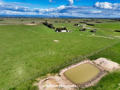 Farm For Sale - VIC - Glengarry - 3854 - Vacant Block of Land with Endless Potential  (Image 2)