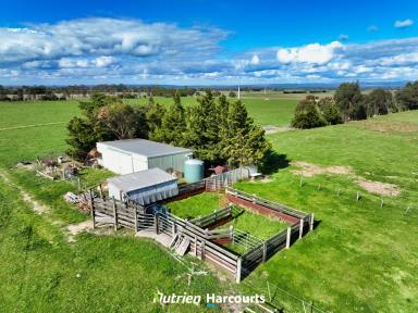 Farm For Sale - VIC - Glengarry - 3854 - Vacant Block of Land with Endless Potential  (Image 2)