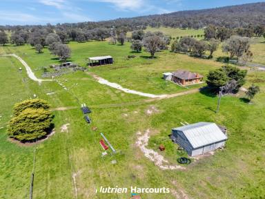 Farm For Sale - VIC - Cowwarr - 3857 - 455 Acre Prime land with Home  (Image 2)